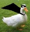 JusticeDuck's Avatar